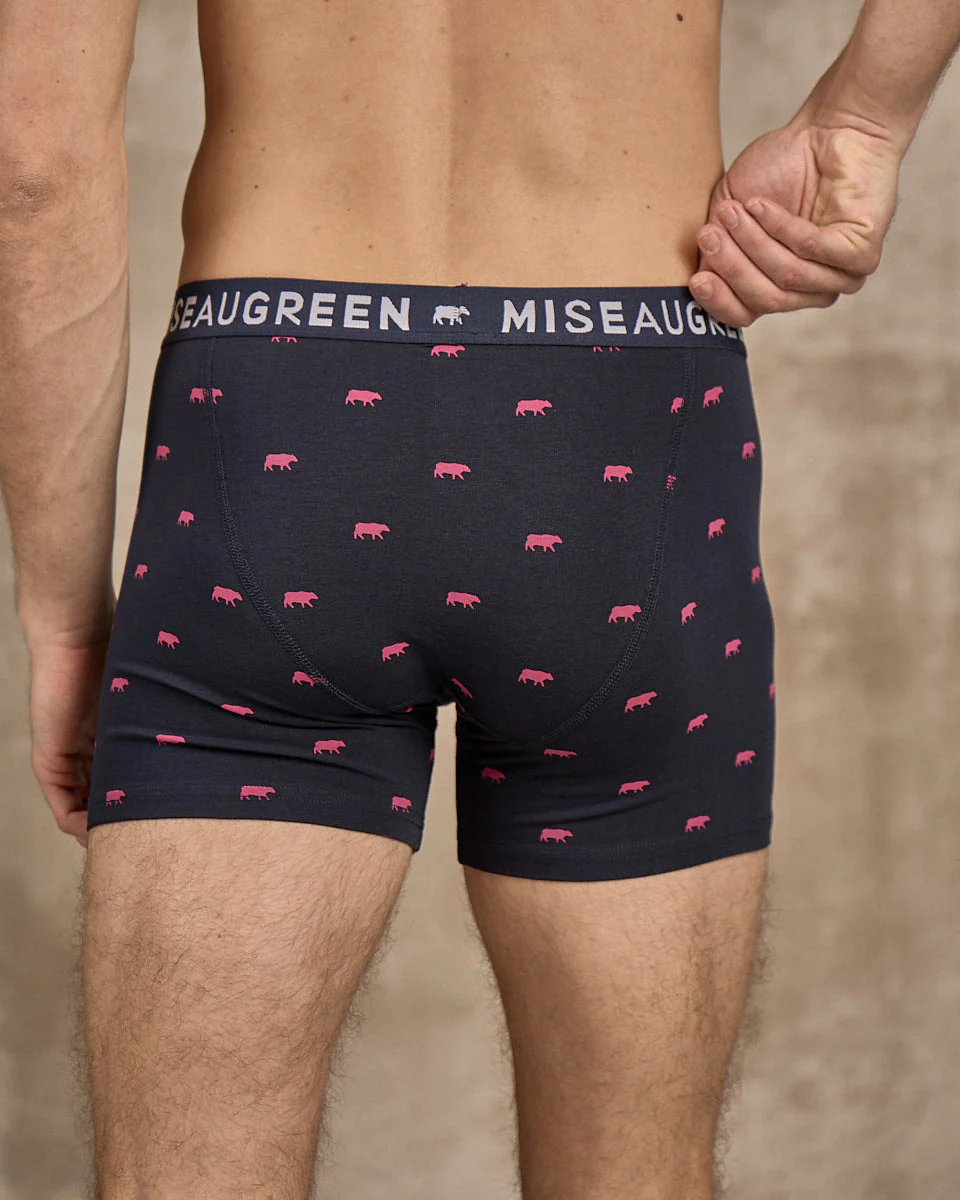 Boxer Adriel - Image 5