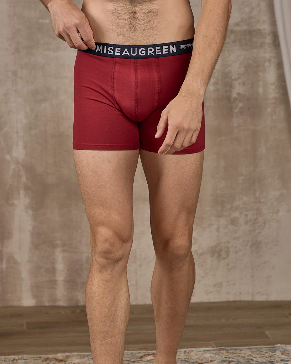 Boxer Adrien - Image 2