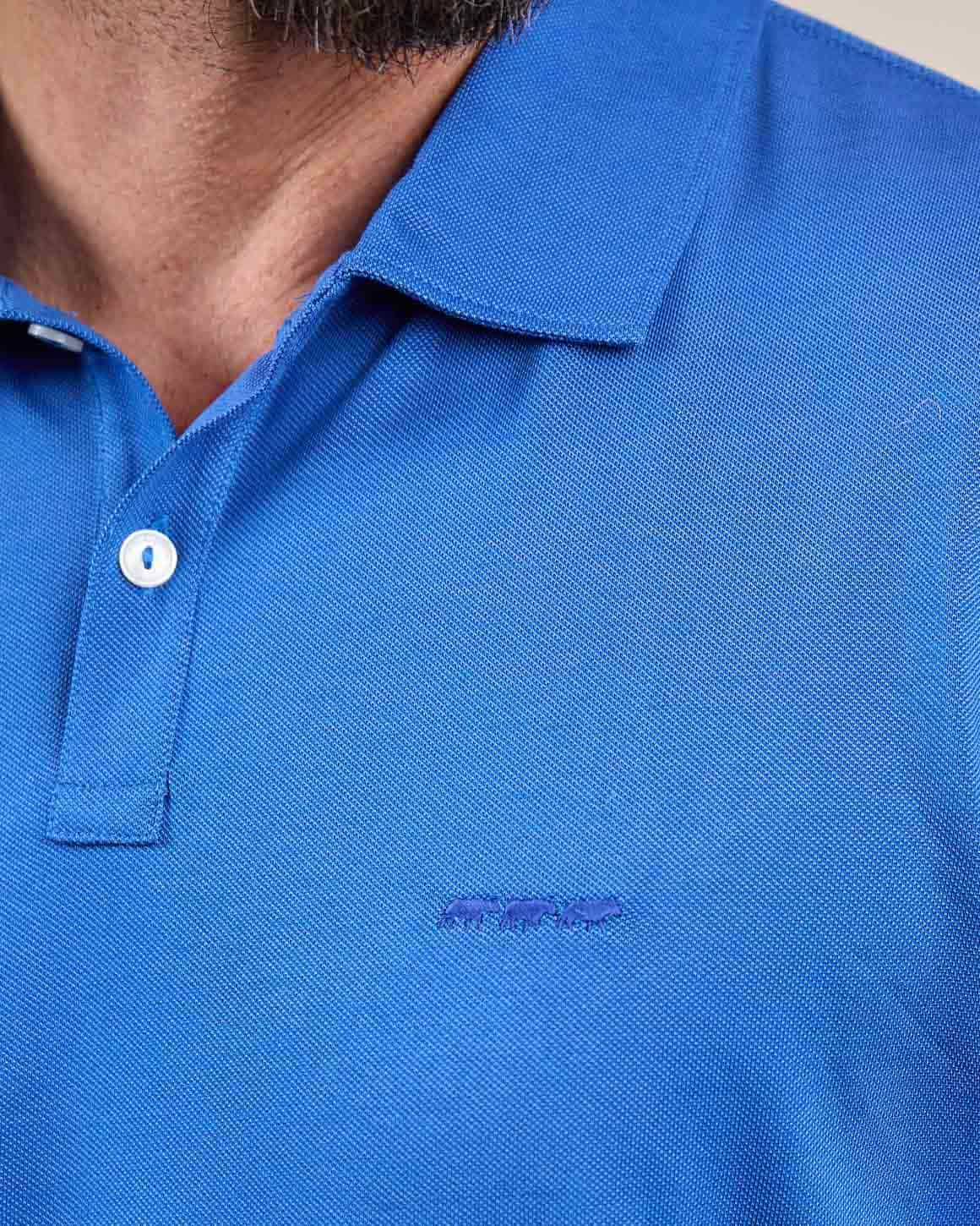 Polo Dollye - Image 4