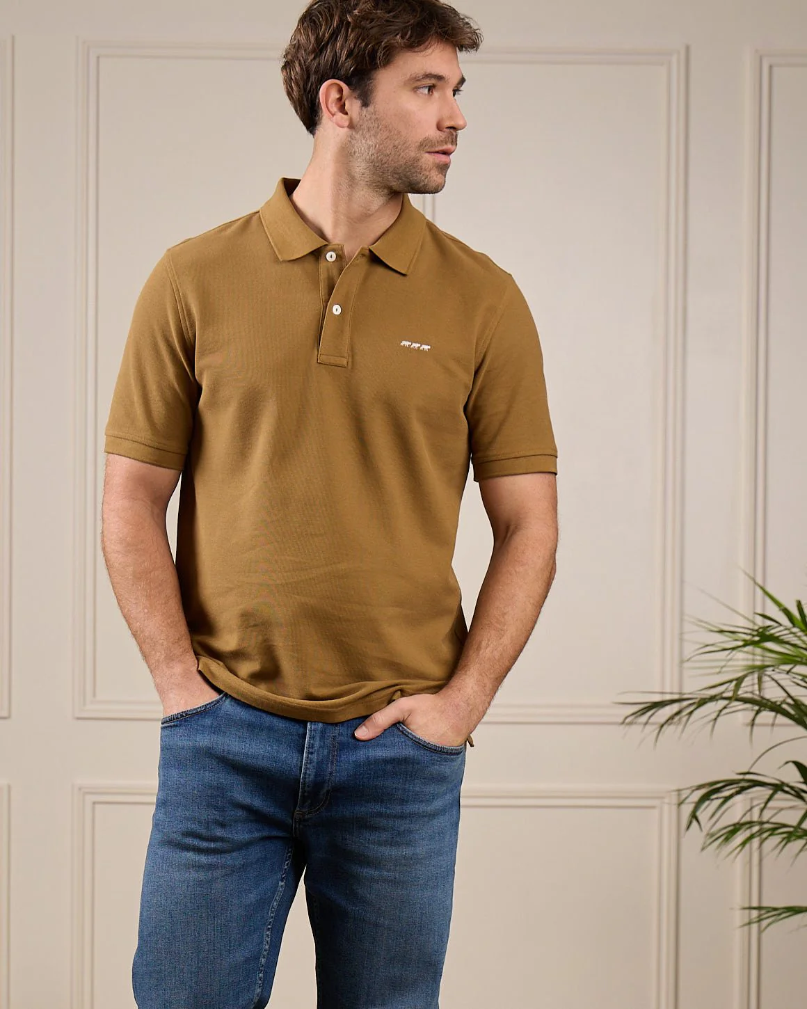 Polo Collin - Image 3