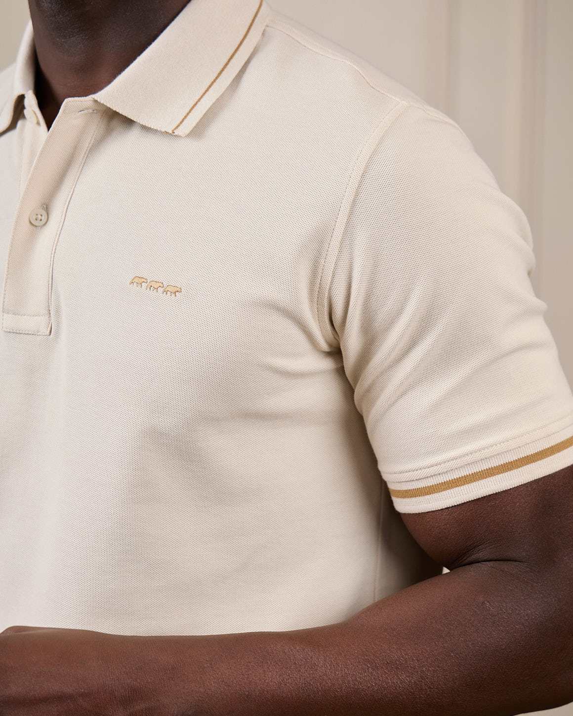 Polo Gaylor - Image 4