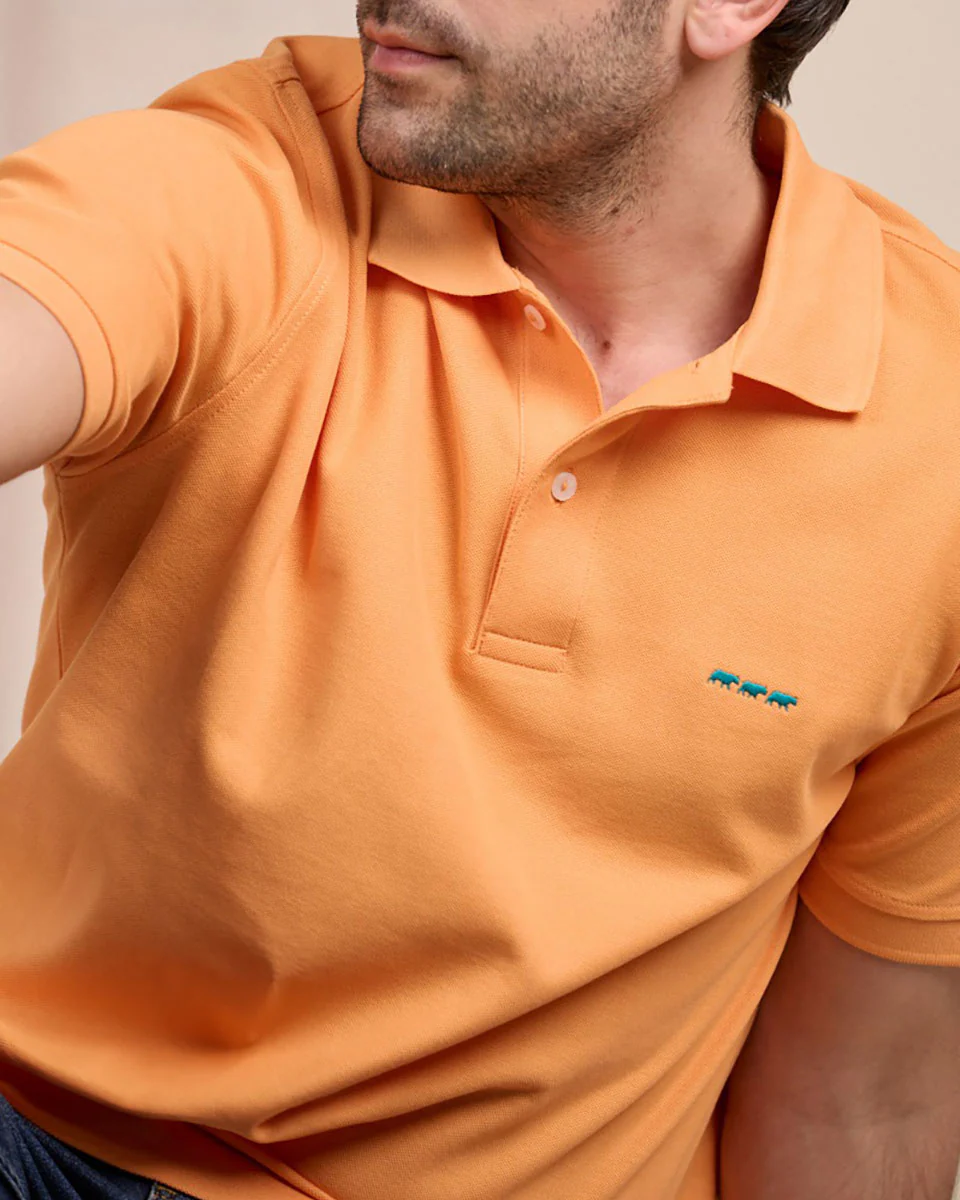 Polo Collin - Image 6