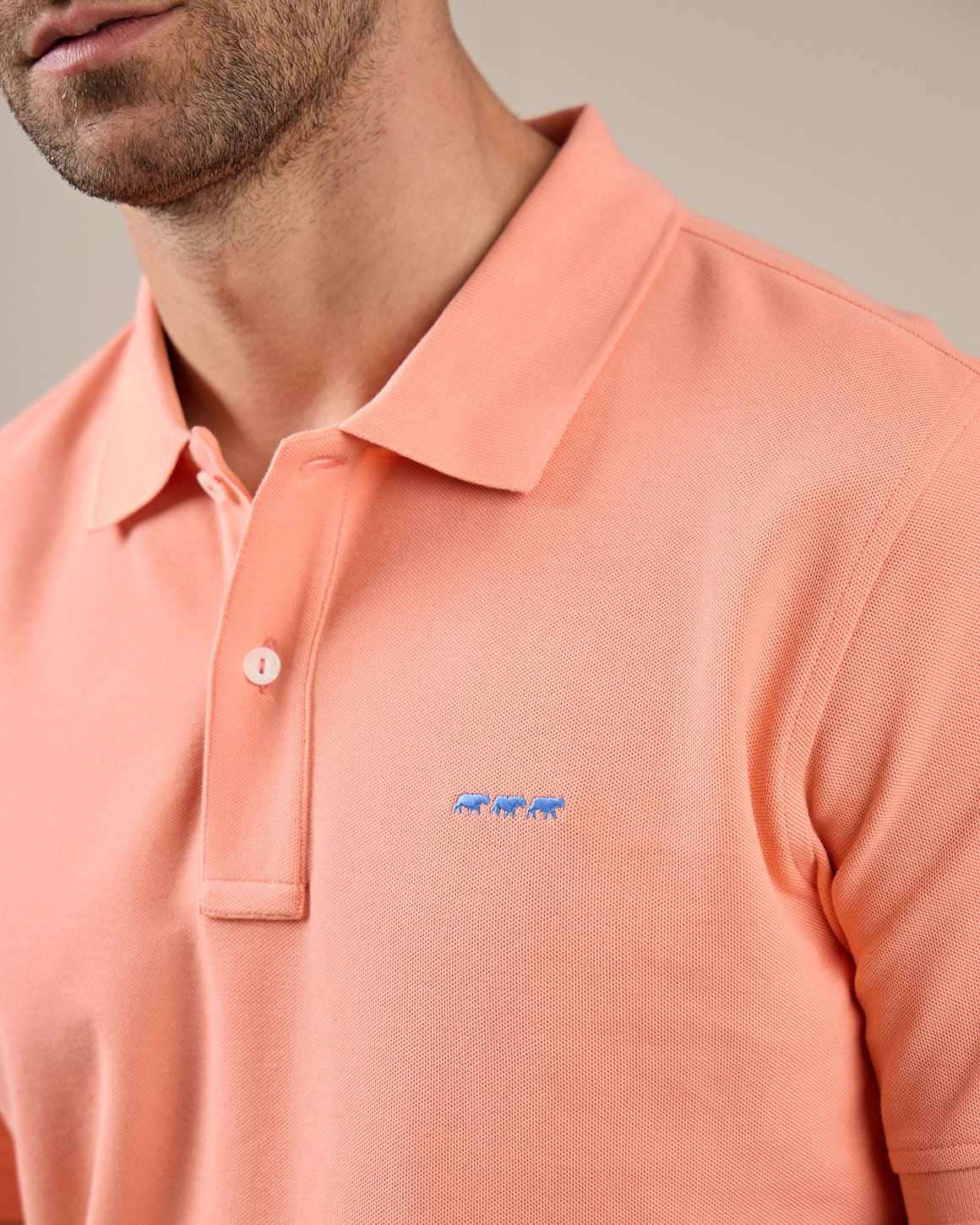 Polo Collin - Image 2