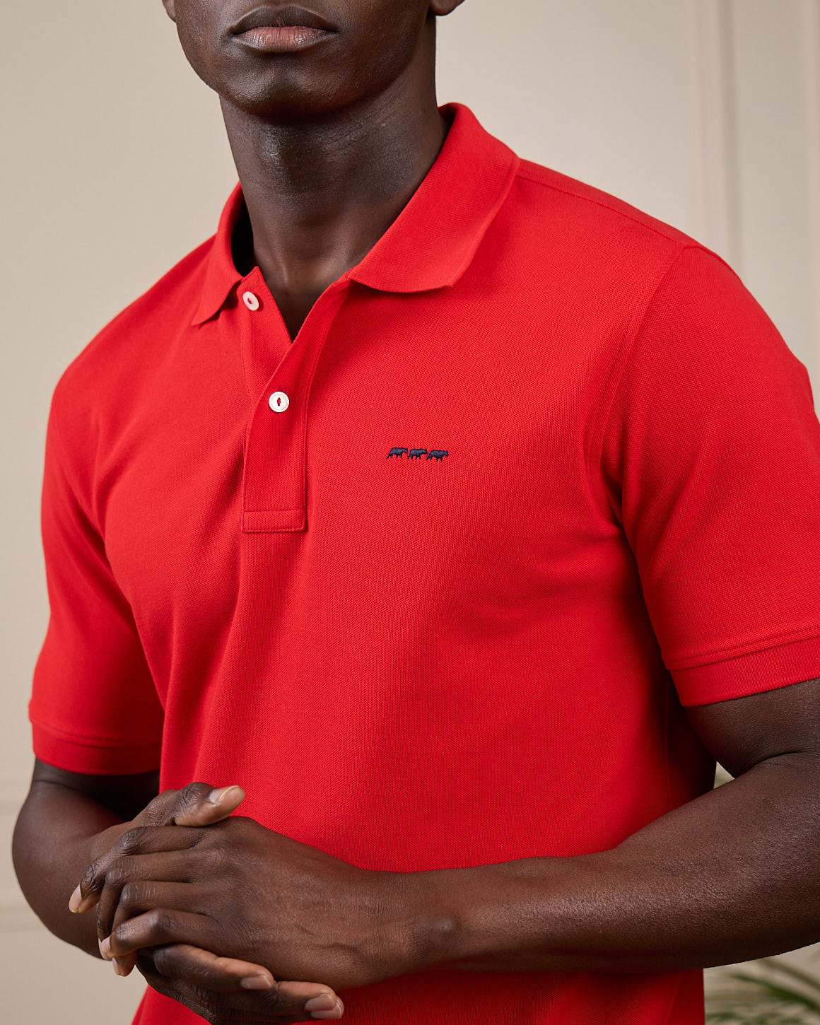 Polo Collin - Image 4
